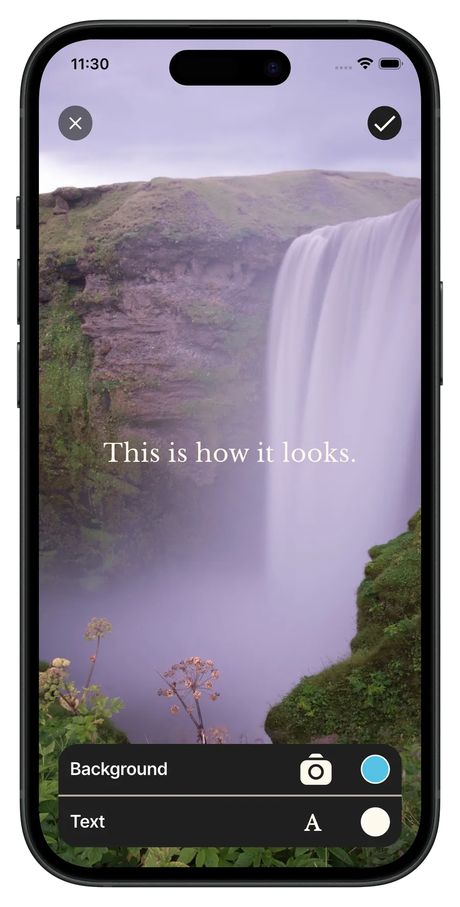 Auteurs favoris dans Entrepreneurs Quotes Widget.